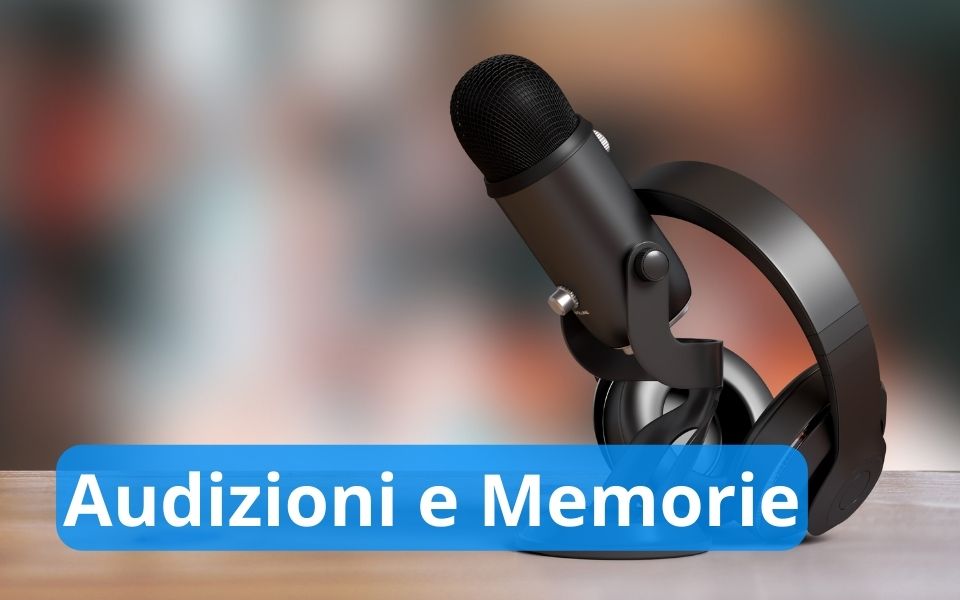 AUDIZIONI E MEMORIE