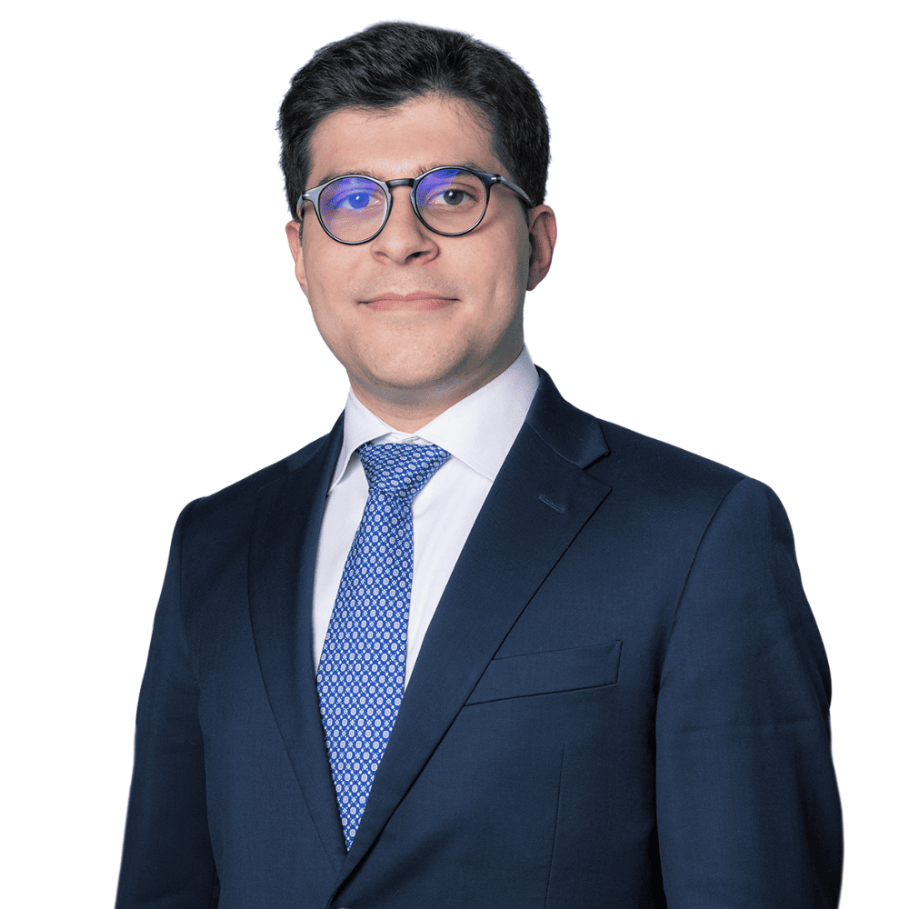 Luca Picotti