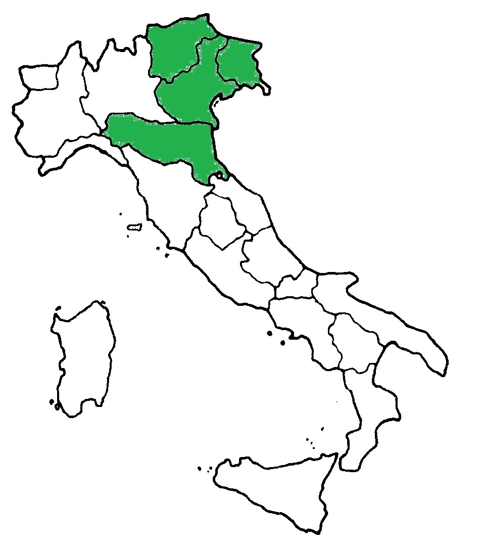 nord-est-elezioni.jpg